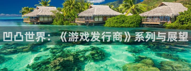 pp电子电子商务有限公司地址：凹凸世界：《游戏发行商》系列与展望