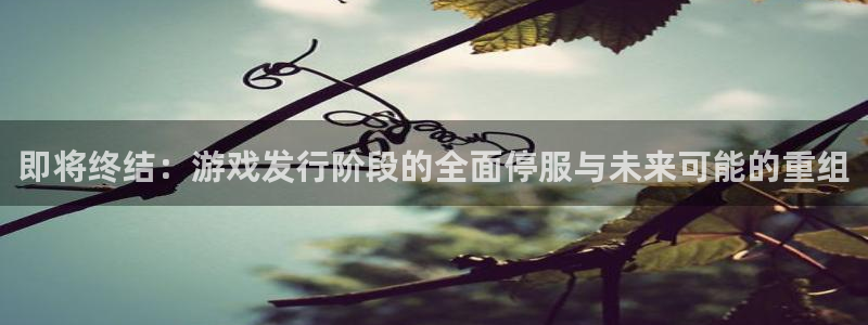 pp电子官网解绑银行卡：即将终结：游戏发行阶段的全面停服与未来可能的重组