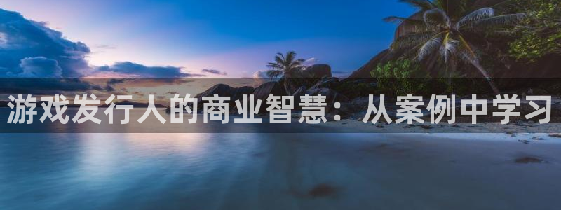 pp电子官网注册方法有哪些：游戏发行人的商业智慧：从案例中学习