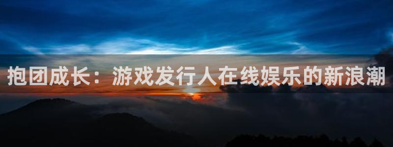pp电子电子商务有限公司怎么样