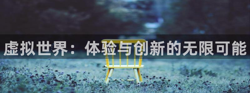 pp电子子股价：虚拟世界：体验与创新的无限可能