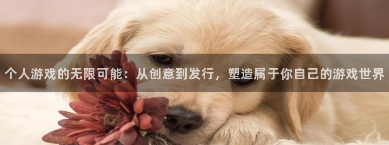 pp电子官网挂机项目怎么样可靠吗：个人游戏的无限可能：从创意到发行，塑造属于你自己的游戏世界