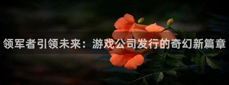 pp电子集团品牌策划机构：领军者引领未来：游戏公司发行的奇幻新篇章