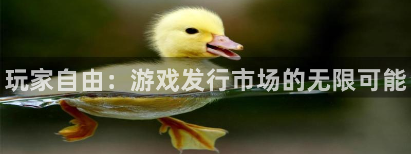 pp电子官网注册方法有哪些：玩家自由：游戏发行市场的无限可能